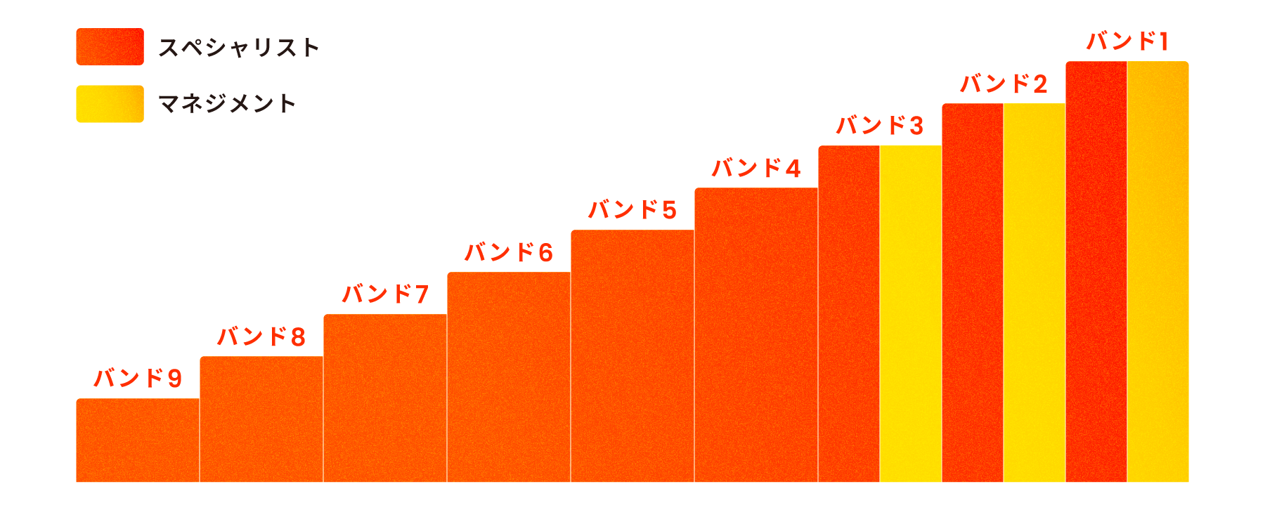 職位バンドごとのスペシャリストとマネジメントの構成比を示すグラフ。バンド9から4はスペシャリストのみで構成され、バンド3、2、1はマネジメント職も含まれる